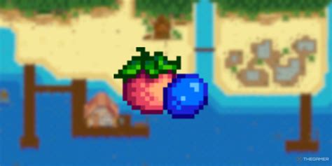 melon stardew|melon vs blueberry stardew.